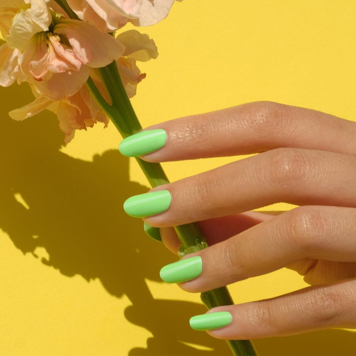 DND Gel Polish (Chỉ áp dụng mã 501-599)