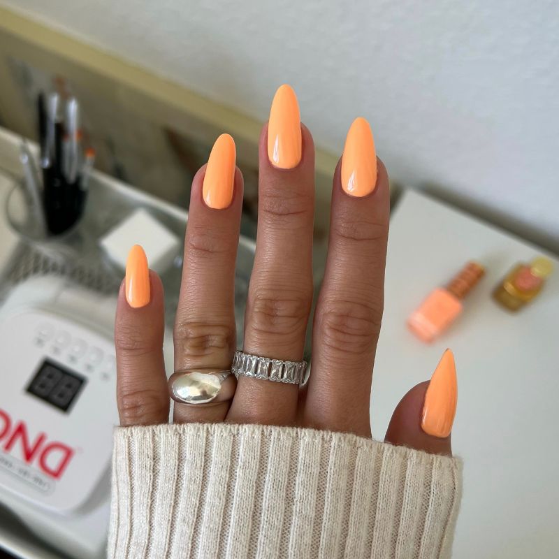 DC Gel Polish Only (145-180)