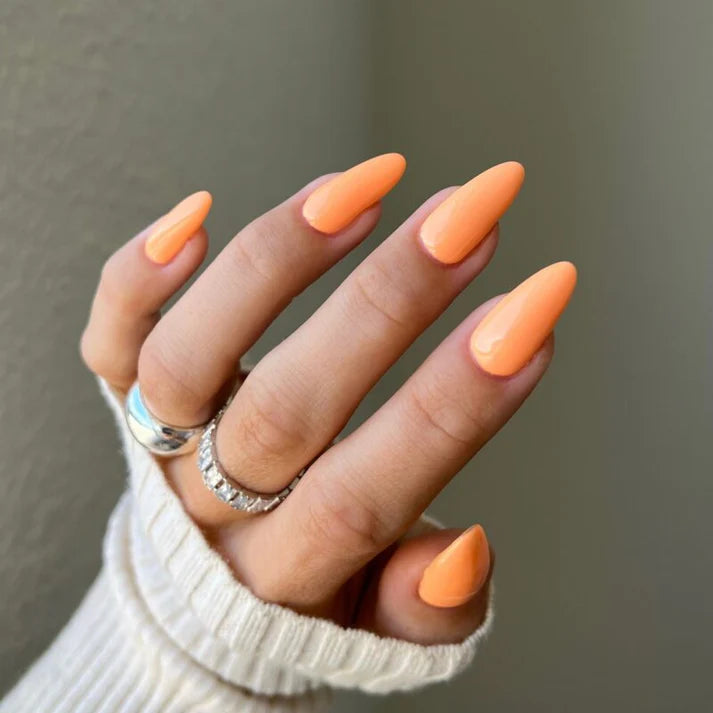 Diva Gel Polish Only (101-199)