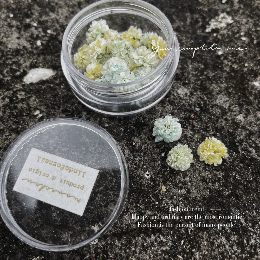 干花美甲 02