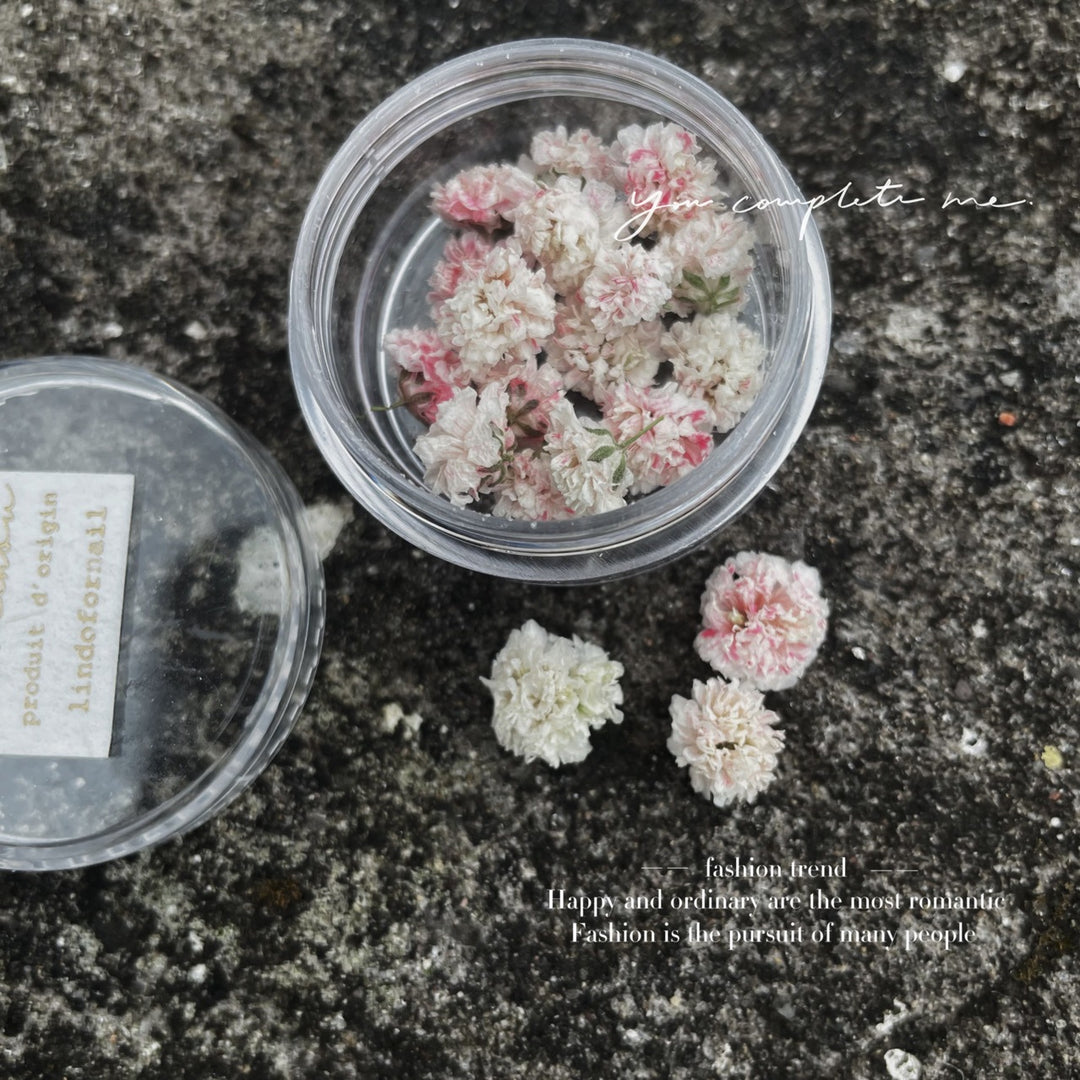 干花美甲 02