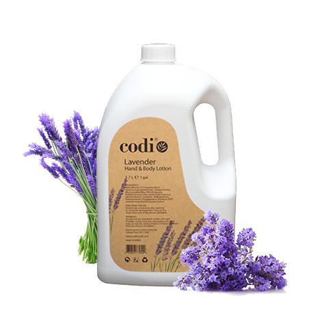 Codi N Codi Codi Lotion 1 Gallon