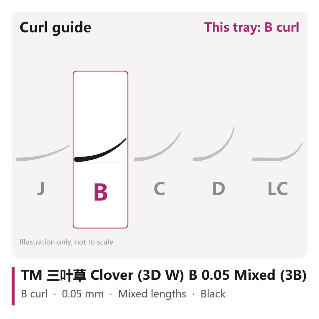 TM 三叶草 Clover (3D W) Lash Extensions B 0.05 Mixed (3B), curl chart showing B curl