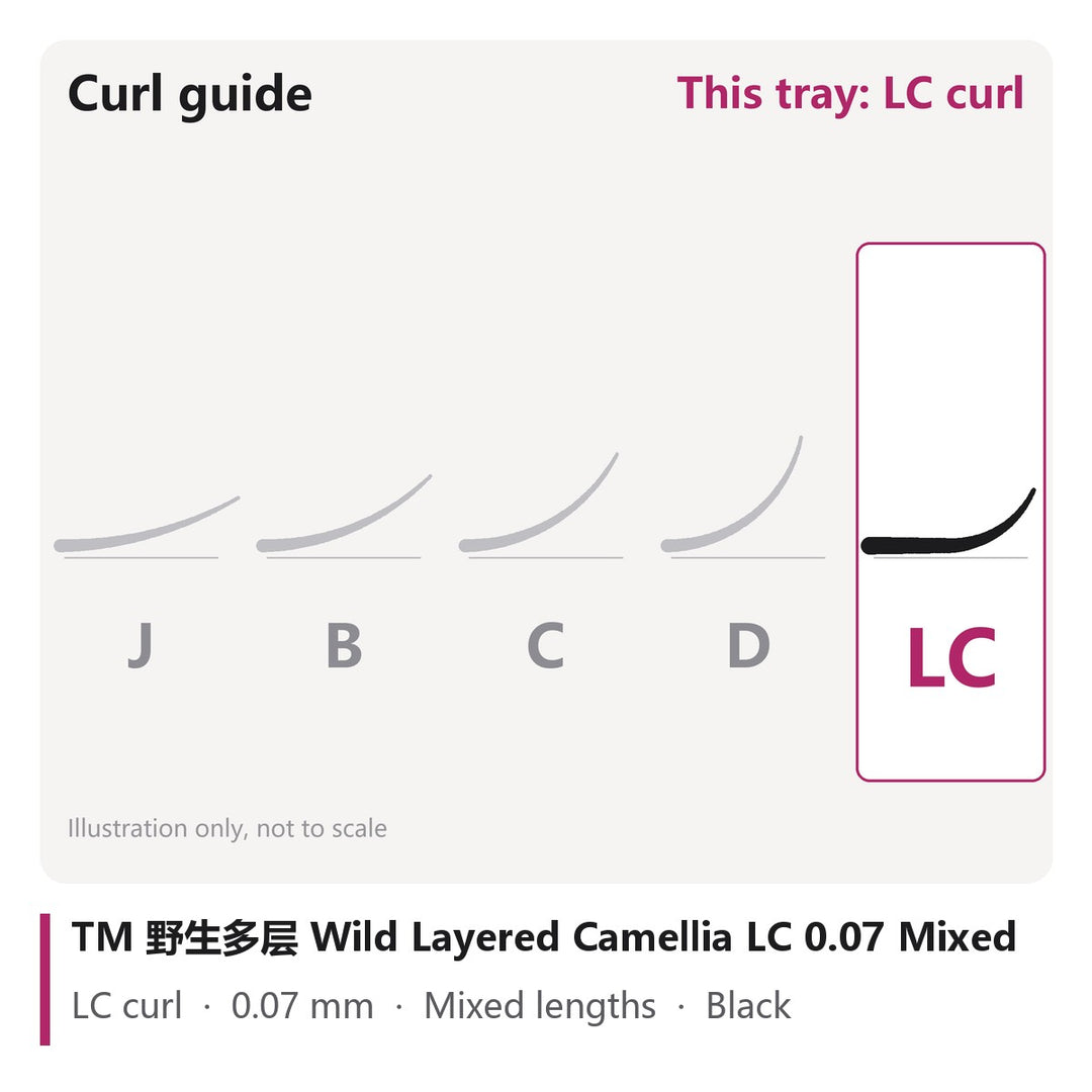 TM 野生多层 Wild Layered Camellia Lash Extensions LC 0.07 Mixed, curl chart showing LC curl