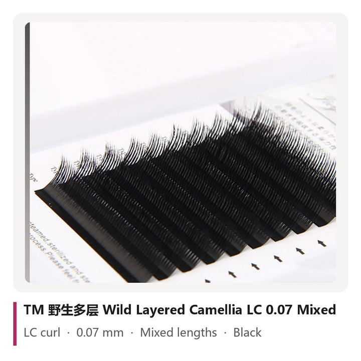 TM 野生多层 Wild Layered Camellia Lash Extensions LC 0.07 Mixed, tray photo