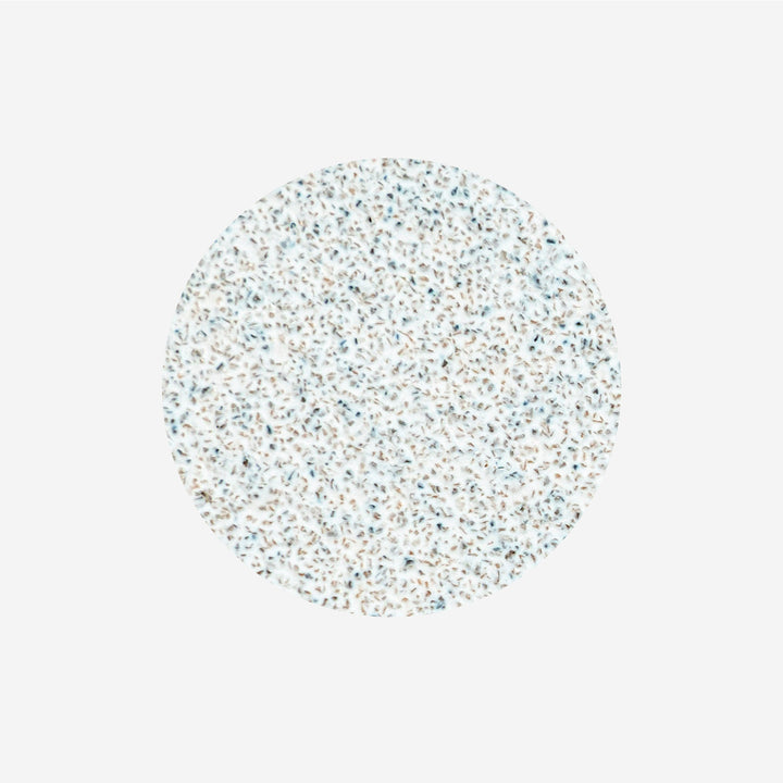 Staleks Pro L White Refill Pads for Pedicure Disc Pododisc 50 pcs PDF-25 - 80 grit PDF-25-80w