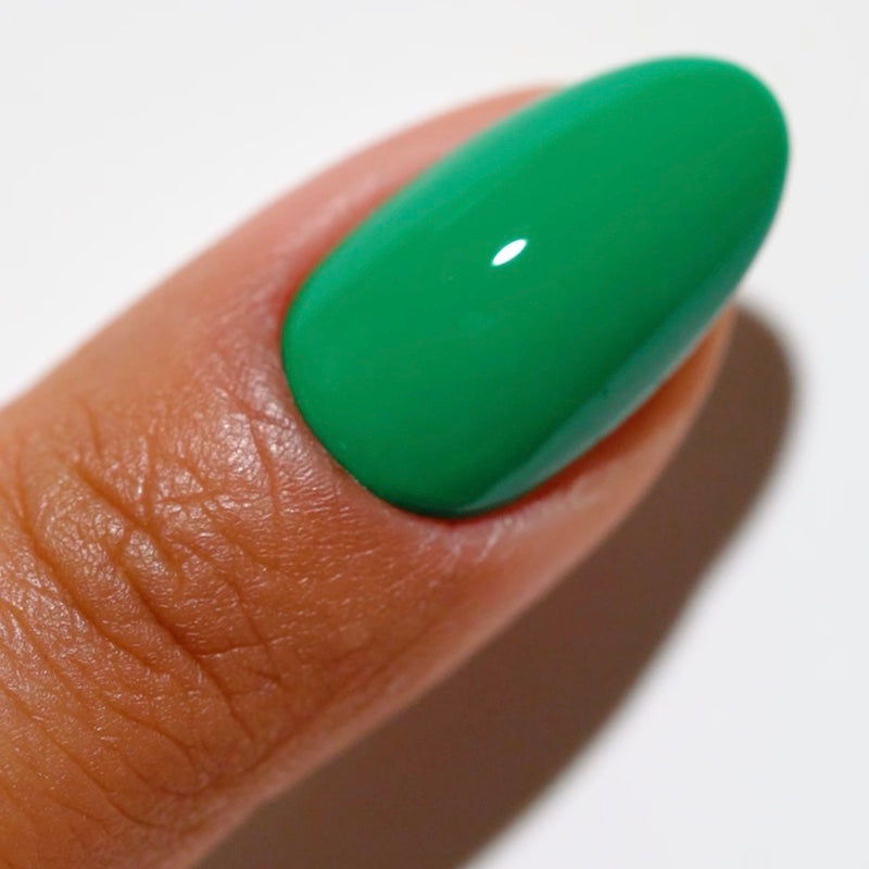 DC DUO GEL MATCHING COLOR 2525 Zen Oasis